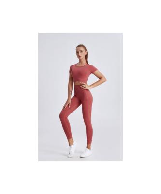 China Latest Design Seamless Yoga Women Breathable Long Sleeve Yoga Tights Clothing Training Top for sale