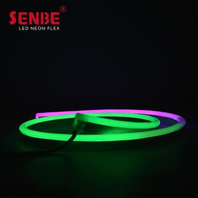 China LANDSCAPE Led Neon Strip Afford Price Injection Molding RGB Pixel Flex Neon Tube for sale