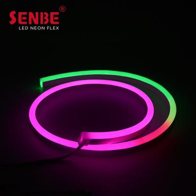 China LANDSCAPE F21S Dome Neon SPI and DMX512 RGBW Outdoor Pixel LED Flex Strip Light for sale