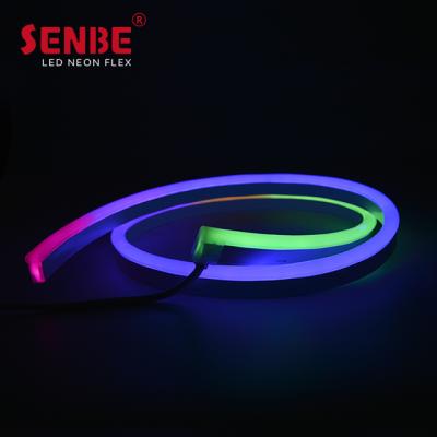 China Senbe LANDSCAPE Lighting F21S SPI RGBW 24VDC Demo Surface Pixel Outdoor Micro PVC Ribbon Decoration LED Neon Lights for sale