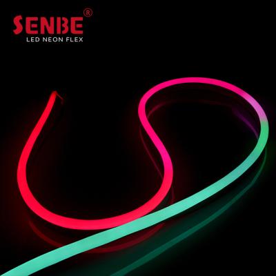 China LANDSCAPE Senbe Lighting F21S Manufacturer International Golden PVC IP67 Sheath DC24V Outdoor LED Strip Light for sale