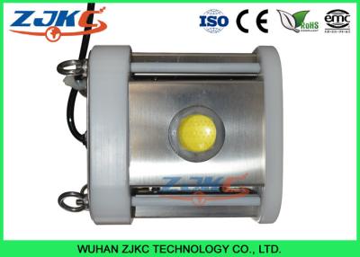 China 200W 12 Volt Deep Sea Fishing Lights with 316 Stainless Steel Body For Salmon Farms for sale