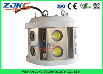 China 1000W AC85-305V Deep Sea Fishing Lights Cool White For Fish Hatchery for sale