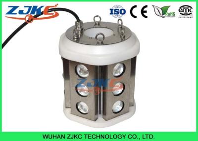 China Underwater Green LED Fish Attracting Dock Lights For Tuna / Salmon / Sardine Fishing for sale