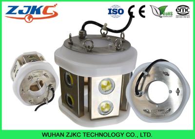 China IP68 Marine Underwater LED Fishing Lights For Salmon Farming Lighting for sale