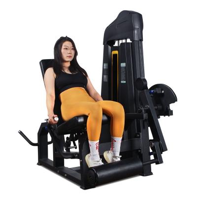 China DGZ New Design Commercial Use Fitness Machine Leg Curl Leg Extension Leg Press for sale