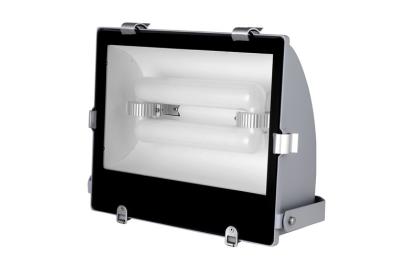 China Durable Aluminum Induction Flood Light for sale