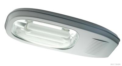 China Custom Induction Floodlight IP65 Natural White Induction Street Lighting for Subway for sale