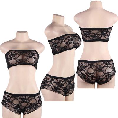 China Hot Selling Fashionable Underwear Plus Size Women Lingerie Set Ladies Transparent Underwear Ready To Ship for sale