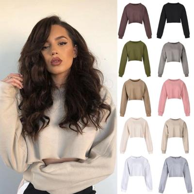 China Anti-wrinkle street hipster tops in solid color hoodieLong sleeve oversized short crop top Hoodie for sale