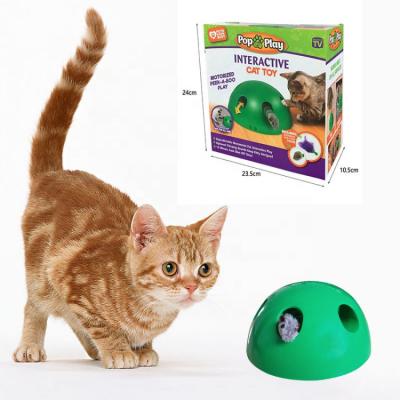 China Viable Fancy Design China Made Pet Cat Dog Interactive Intelligence Playing Toys for sale