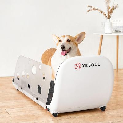 China Manufacturer Stocked High Quality Remote Control Treadmill Dog Pet Running Machine Hot Selling for sale