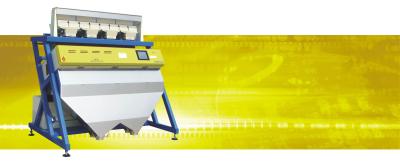 China color sorter for sunflower seed / kernels for sale