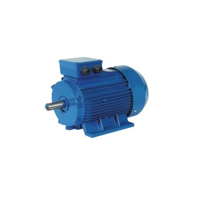 China Totally Enclosed 3 Phase Yseries Electric Motor For Hot Sale for sale