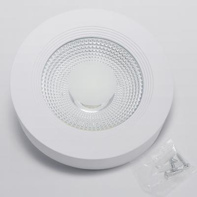 China Modern COB Shop Office HOTEL Mall Surface Ceiling Downlights 50W Outdoor Light Retail Mounted Downlight for sale