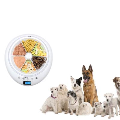 China New Automatic Pet Smart Cat Dog Water Food Bowl 6 Electronic Separate Meal Trays Timed Pet Feeder for sale