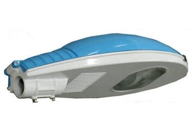 China 80lm/W HID Lamp 100W Blue Whale Electronic Ballast 24000hrs Life Metal Halide for sale