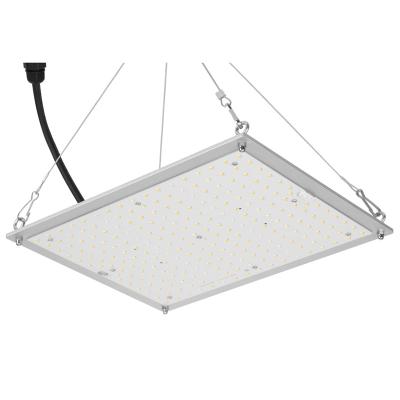 China Hidrocultivo de RikoLite 100W 277vac llevado para crecer el tablero 167.3umol/S de Quantum de las luces en venta