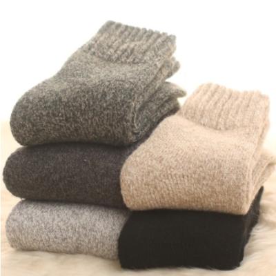 China Winter Merino Wool Ski Merino Wool Hiking Sock Outdoor Camp High Quality Antibacterial for sale