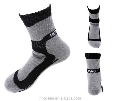 China High Quality Manufacturer Men Crew Cotton Custom Sports Socks Antibacterial for sale