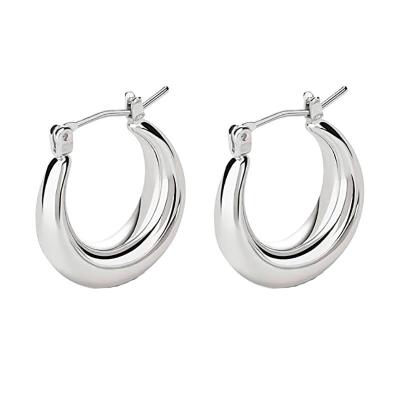 China Hot Sale Fast Shipping Chunky Earring Fashion 18K Gold Plated Stainless Steel Jewelry Hoop Earrings For Women for sale