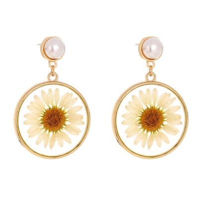 China Real Dry Flower Daisy Hoop Pearl Earrings Gold Drop Pressed Sunflower TRENDY Elegant Earring Resin Stud Women Jewelry for sale