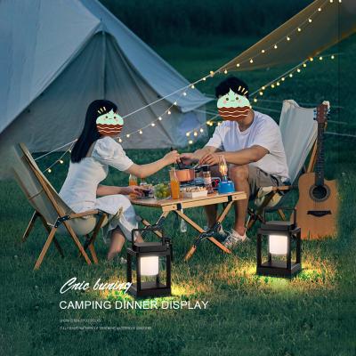 China 2022 Eco-Friendly New Type-C Hanging Rechargeable Solar Power Hand Waterproof Led Camping Light For Table Bedroom Pathway Deck Yard Camping for sale