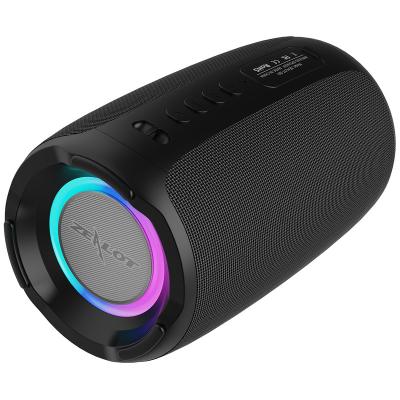 China Portable Mini Cheap Karaok KTV Wireless 10W Speaker bluetooth Speaker Fanatic S61 for sale