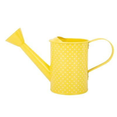 China Garden Watering Tools Hot Sale Metal Water May Yellow for sale