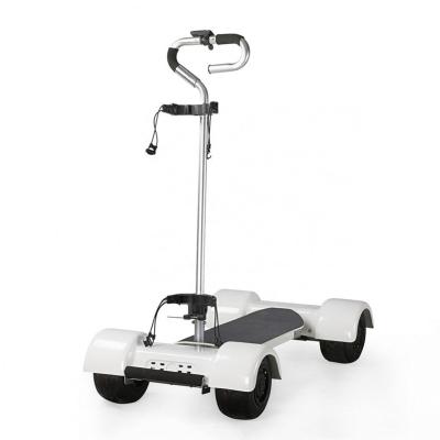 China Remile G1 Mini Electric Scooter Golf Cart 1000W Golf Carts Europe Electric Road Approved 10 Inch for sale