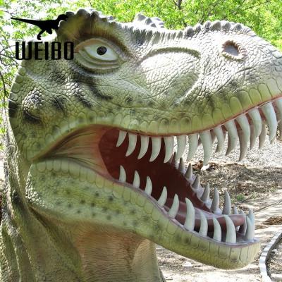 China Theme Park Real Life Size Resin Dinosaur Fiberglass Dinosaur Statue for sale