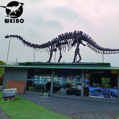 China Mall Park Jurassic Dinosaur Life Size Dinosaur Fossil for sale