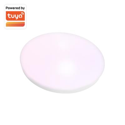 China Modern Outdoor Mounted Living Room Bedroom Round Smart Modern Decoration Lamp LED Ceiling Light for sale