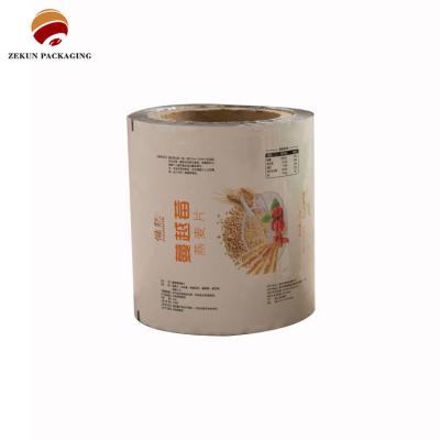 China Gravure Printed Pet/Al/Pe Food Packaging Roll Film Colorful Design Various Capacities for sale