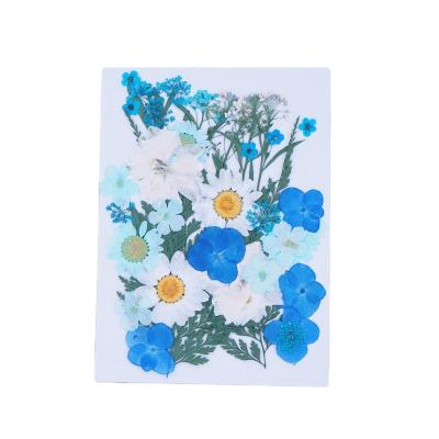 China 2022 Dry Pampas Tried Mixed Diy Flowers Craft Decoration Enternal Dry Plants Flower Dry Flowers For Diy Accessories Jewelry for sale