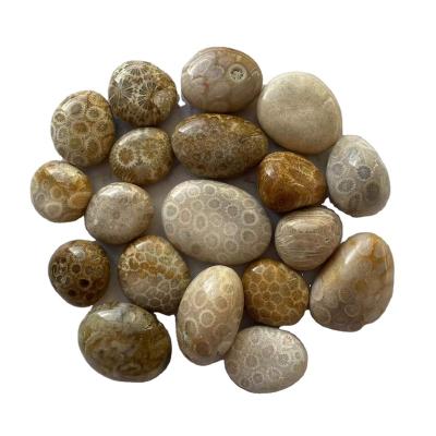 China China Factory Direct Wholesale Price Coral Healing Stone Crystals Jade Tumbled Stones For Healing for sale