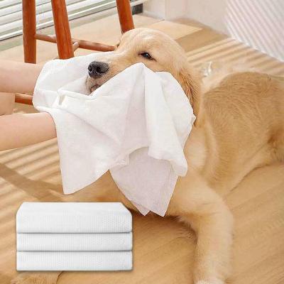 China Sustainable Portable Custom Large Water Absorption Super Comfortable Pet Dog Disposable Bath Towel for sale