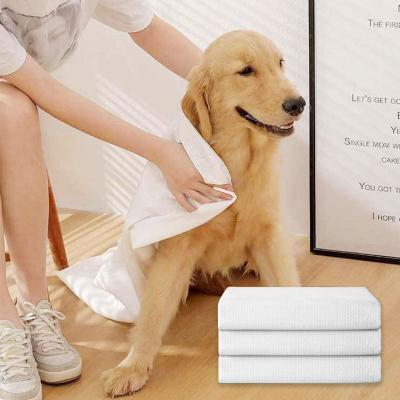 China Amazon Best Skin-Friendly Portable Ultra Absorbent Bath Drying Disposable Dog Pet Cleaning Towel for sale