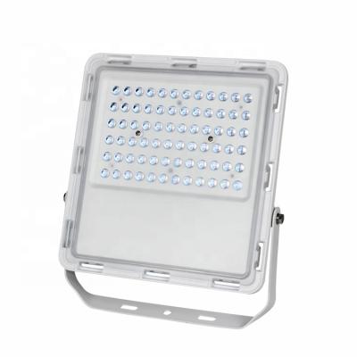 China Commercial LANDSCAPE lighting waterproof outdoor lifting IP65 smd 50 60 watt led flood light for sale