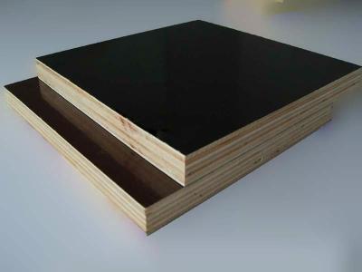 China 1250mmx2500mmm or 1220mmx2440mm Construction Film Faced Plywood marine plywood with good price for sale