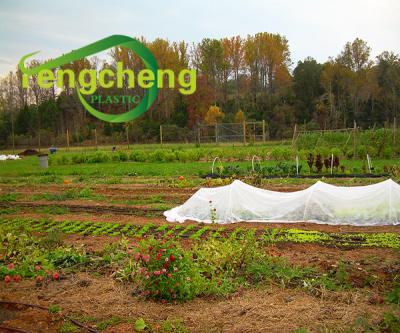 China Customized Factory Ground Cover Waterproof Barrier PP Spunbonded Agriculture Greenhouse Weed Nonwoven Fabric for sale