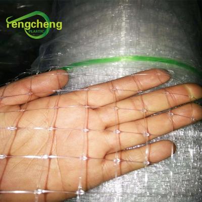 China Agriculture Use Orchard Tree Protection Bird Mist Nets For Birds Anti Bird Catch Net for sale