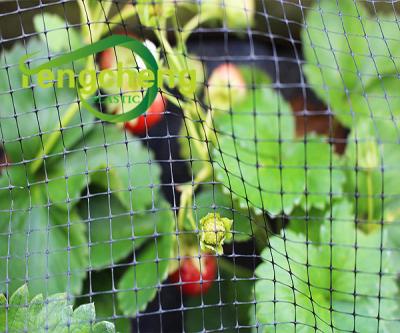 China Agriculture use hot sale bird aviary netting, anti bird protection net, birds trap nets for sale