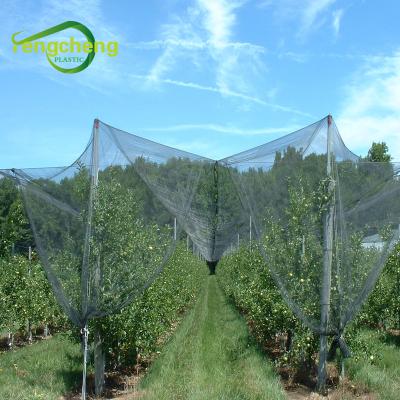 China HDPE anti hail anti hail netting orchard tree hail protection agricultural net/apple tree anti hail covering net for sale