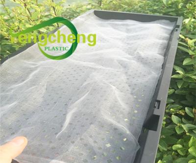 China Transparent Plastic HDPE Greenhouse Tent HDPE Anti Insect Mesh Net For Anti-insect for sale