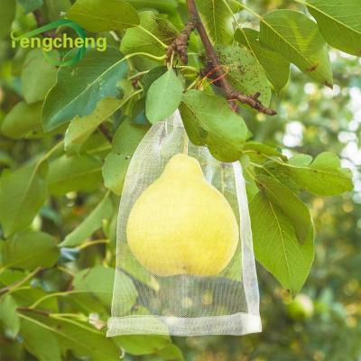 China 2020 Vegetables New Product Custom Mesh Anti Theft Insects Fruit Protection Insect Net Bag Drawstring For Mangos Grapes for sale