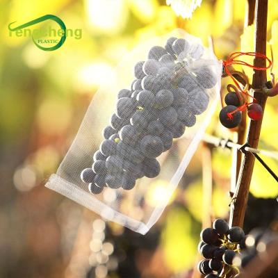 China Hot Vegetables Product 60 Mesh Vineyard / Orchard Use UV Protection Insect Barrier HDPE Insect Mesh Bag For Grape for sale