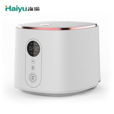 China Hotel Appliances Kitchen Appliances New 2L Plastic Cheap Electric Multi Functional Small Rice Cooker Kitchen Appliances 100% New Plastic for sale