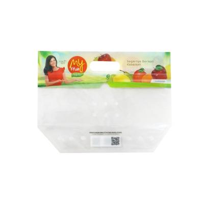 China DQ Aseptic PACK Customized Transparent Rack Fruit Duct Bag With Zipper And Euro Hole for sale