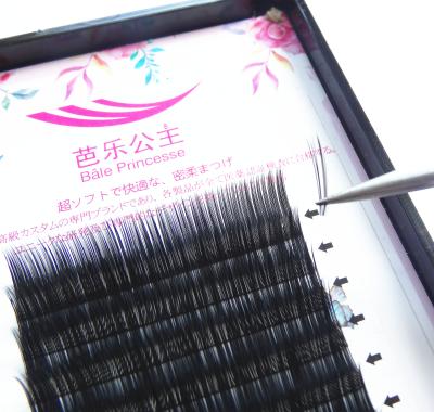 China Private label natural soft individual beauty silk eyelash extension extensions for sale